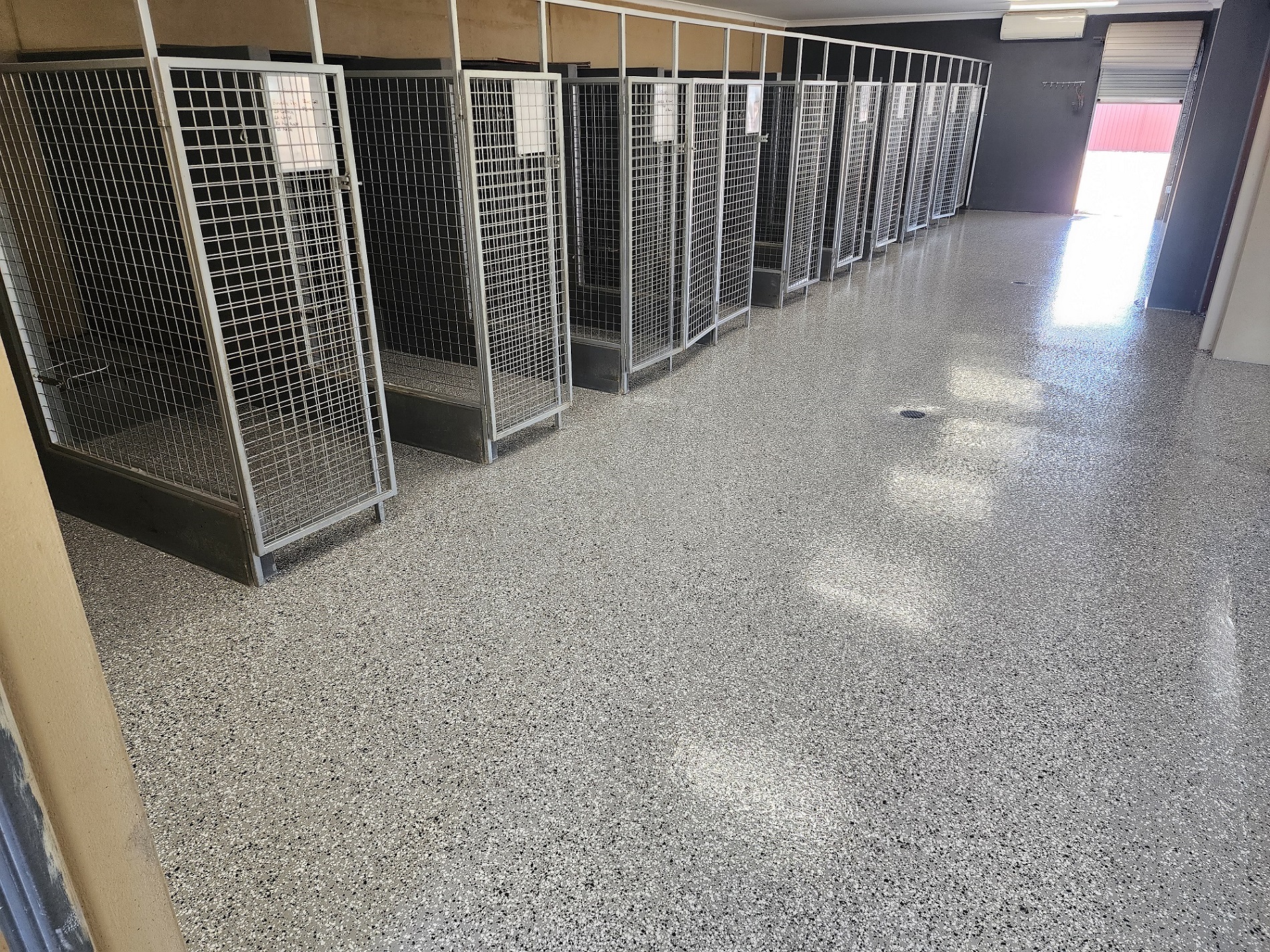 Pet Boarding Facility in Mosinee, WI